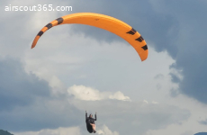 PHI Maestro 2 21 orange - NEUER CHECK!