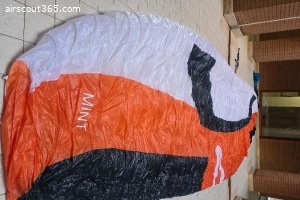 Skywalk Mint 105 Orange Mint condition